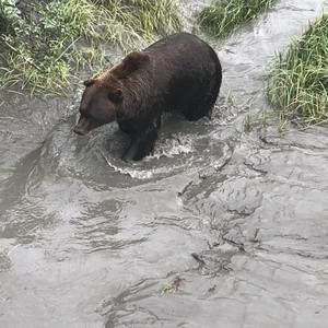 Meet your Posher, Logan